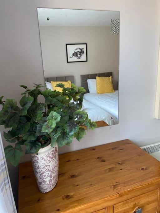 Centrally Located Light Warm & Welcoming *